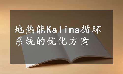 地热能Kalina循环系统的优化方案