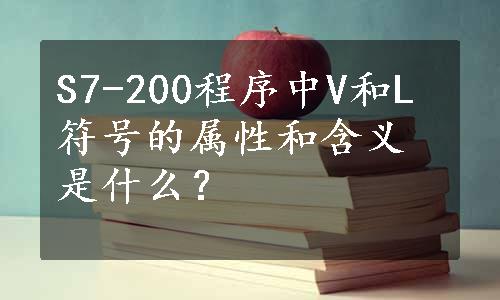 S7-200程序中V和L符号的属性和含义是什么？