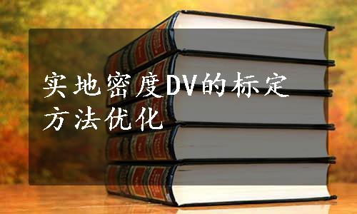 实地密度DV的标定方法优化