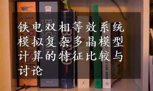 铁电双相等效系统模拟复杂多晶模型计算的特征比较与讨论