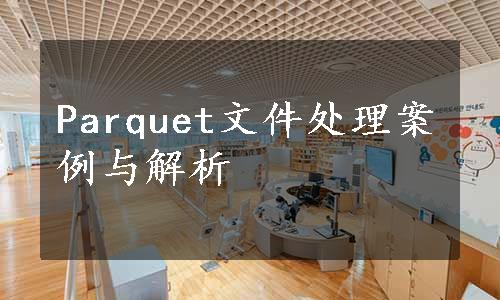 Parquet文件处理案例与解析