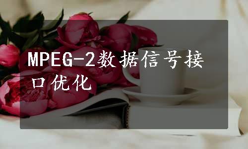 MPEG-2数据信号接口优化