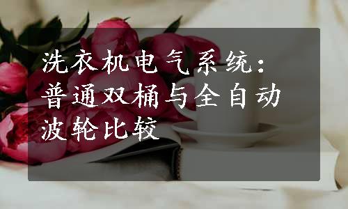 洗衣机电气系统：普通双桶与全自动波轮比较