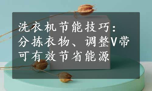 洗衣机节能技巧：分拣衣物、调整V带可有效节省能源