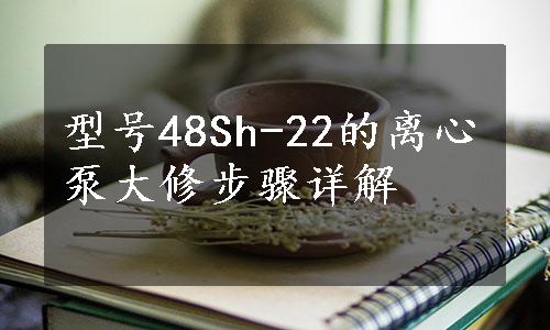 型号48Sh-22的离心泵大修步骤详解