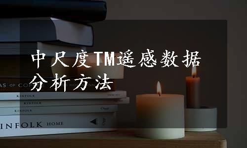 中尺度TM遥感数据分析方法