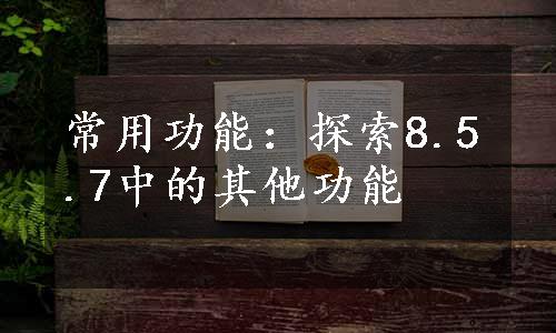 常用功能：探索8.5.7中的其他功能