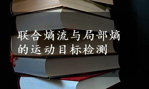 联合熵流与局部熵的运动目标检测