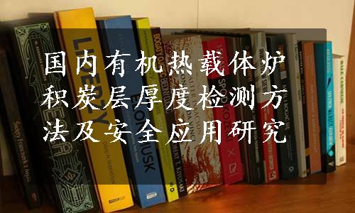 国内有机热载体炉积炭层厚度检测方法及安全应用研究