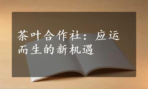 茶叶合作社：应运而生的新机遇