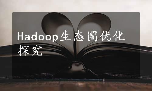 Hadoop生态圈优化探究