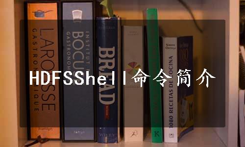 HDFSShell命令简介