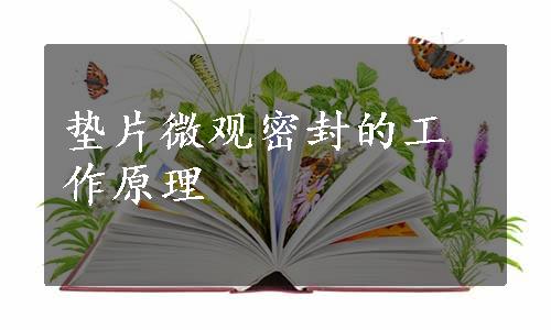 垫片微观密封的工作原理