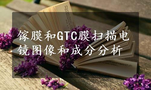 镓膜和GTC膜扫描电镜图像和成分分析