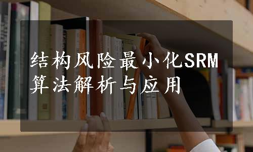 结构风险最小化SRM算法解析与应用