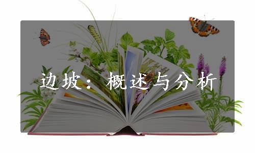 边坡：概述与分析