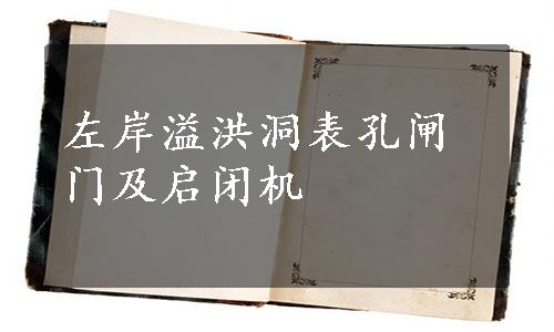 左岸溢洪洞表孔闸门及启闭机