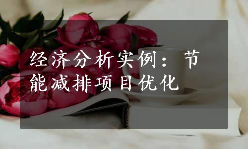 经济分析实例：节能减排项目优化