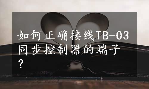 如何正确接线TB-03同步控制器的端子？