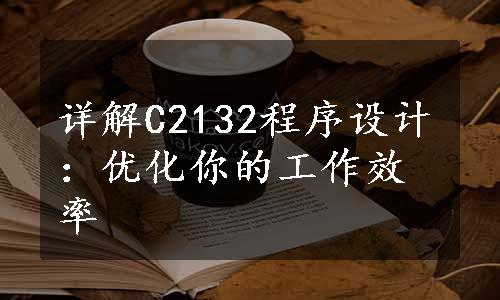 详解C2132程序设计：优化你的工作效率