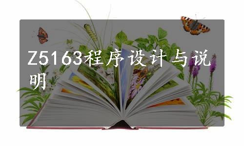 Z5163程序设计与说明