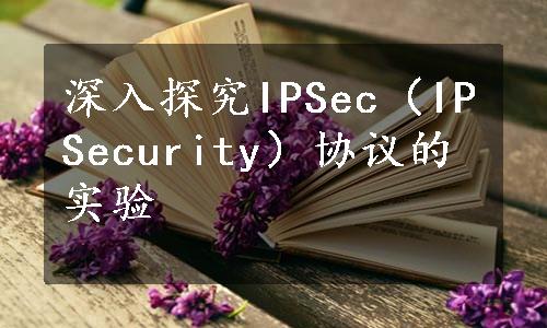 深入探究IPSec（IPSecurity）协议的实验