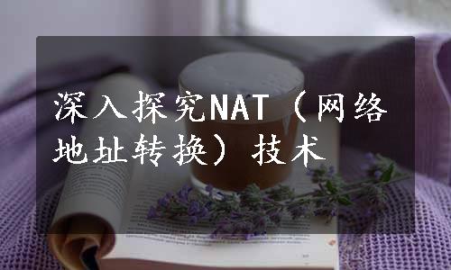 深入探究NAT（网络地址转换）技术