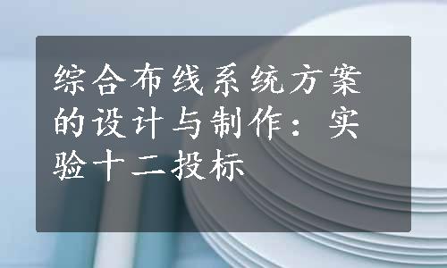 综合布线系统方案的设计与制作：实验十二投标