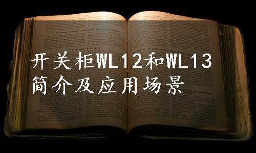 开关柜WL12和WL13简介及应用场景