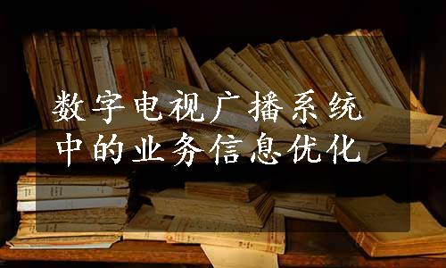 数字电视广播系统中的业务信息优化