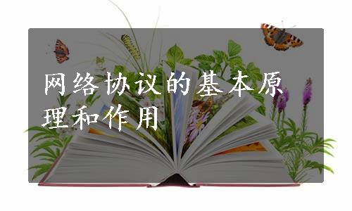 网络协议的基本原理和作用