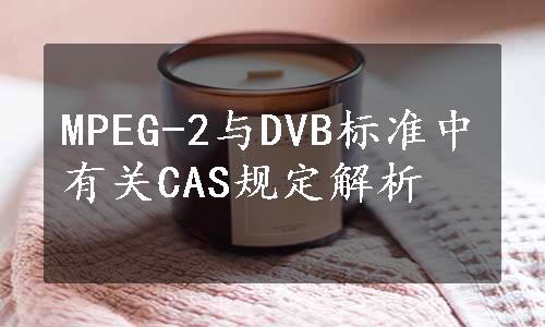 MPEG-2与DVB标准中有关CAS规定解析