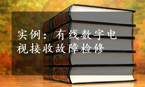 实例：有线数字电视接收故障检修