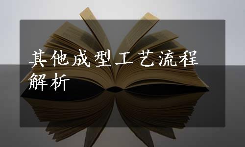 其他成型工艺流程解析