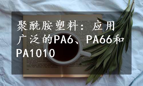 聚酰胺塑料：应用广泛的PA6、PA66和PA1010