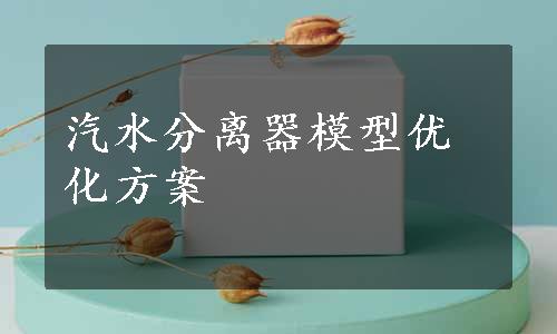 汽水分离器模型优化方案