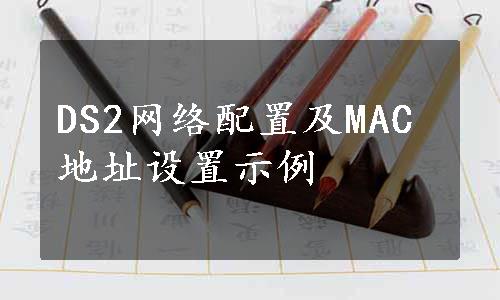 DS2网络配置及MAC地址设置示例