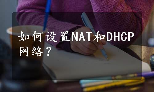 如何设置NAT和DHCP网络？