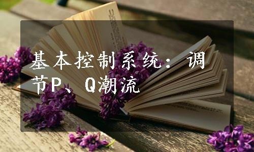 基本控制系统：调节P、Q潮流