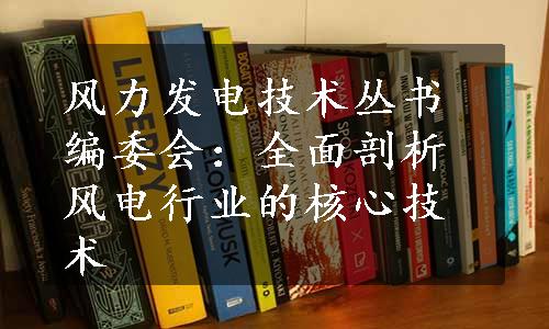 风力发电技术丛书编委会：全面剖析风电行业的核心技术