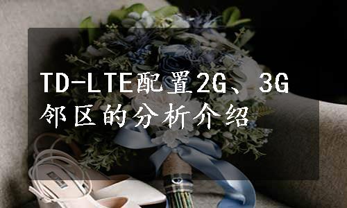 TD-LTE配置2G、3G邻区的分析介绍