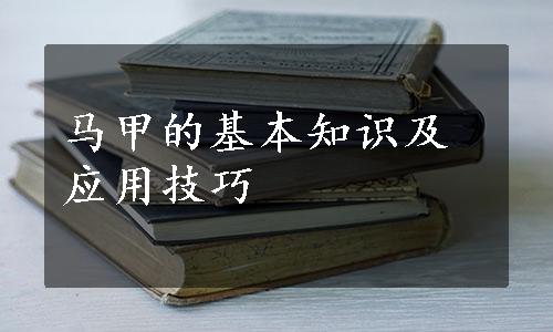 马甲的基本知识及应用技巧