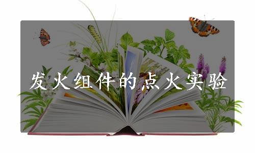 发火组件的点火实验