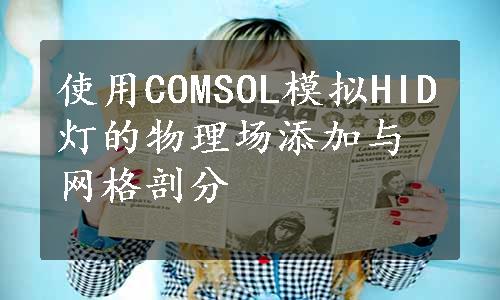 使用COMSOL模拟HID灯的物理场添加与网格剖分