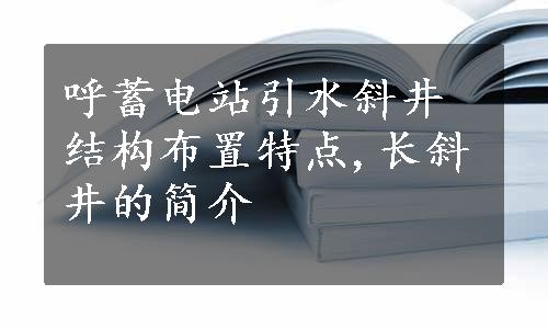 呼蓄电站引水斜井结构布置特点,长斜井的简介