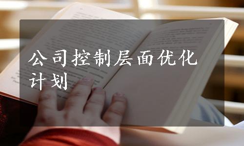 公司控制层面优化计划