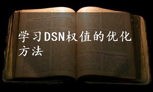 学习DSN权值的优化方法