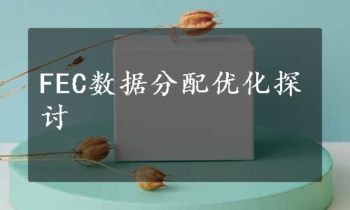 FEC数据分配优化探讨