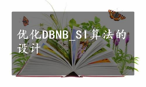 优化DBNB_SI算法的设计