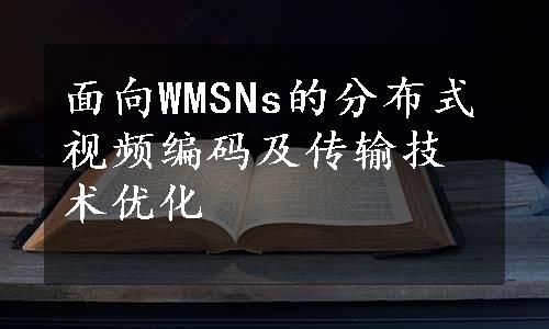 面向WMSNs的分布式视频编码及传输技术优化